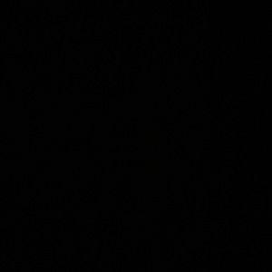 Meet your Posher, Berlin